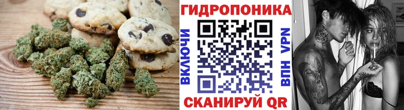 Cannafood марихуана  Купить  Медвежьегорск 